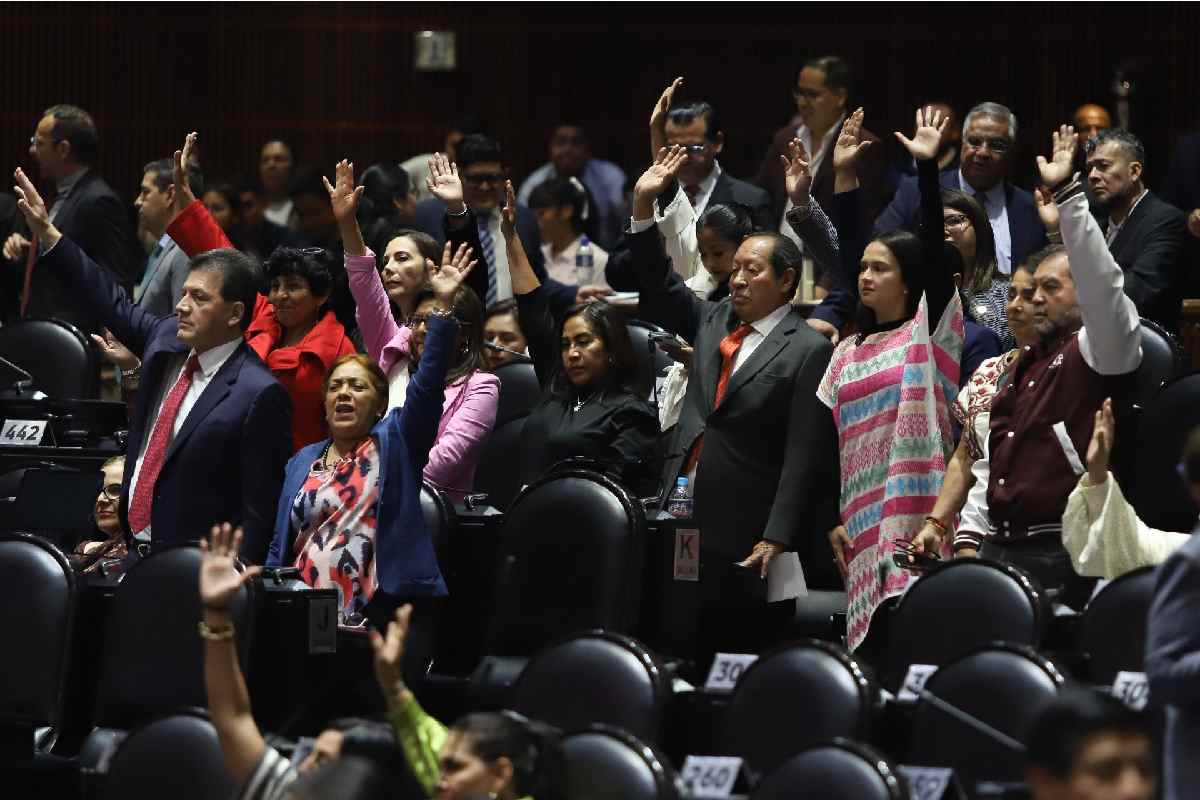 Diputados aprueban en lo general el Plan B electoral con apoyo de Morena y  MC | Animal Político
