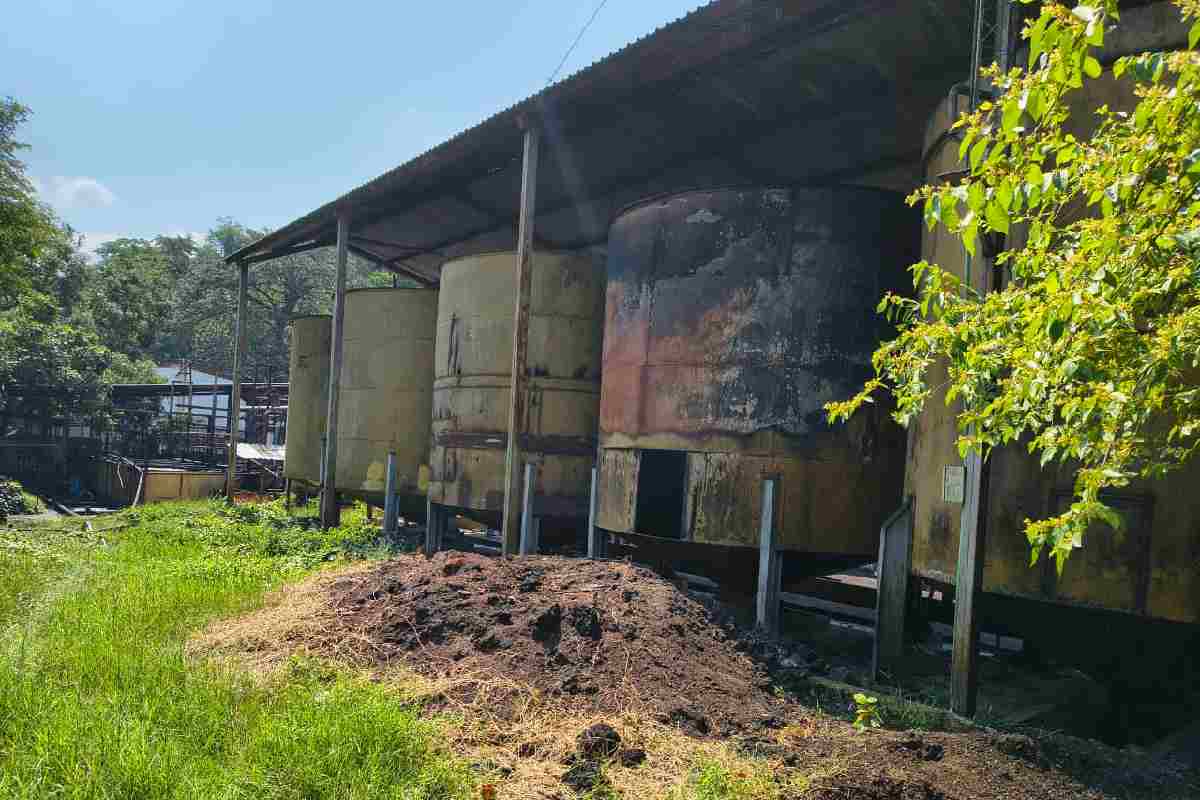 Clausuran planta de aceite de palma en Chiapas por riesgos ambientales en suelo y cuerpos de agua