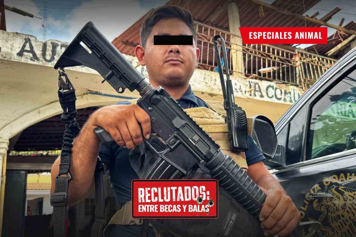 “Los mandan a matar y morir por el cártel”: homicidios de jóvenes al alza; 15 mil más en seis años