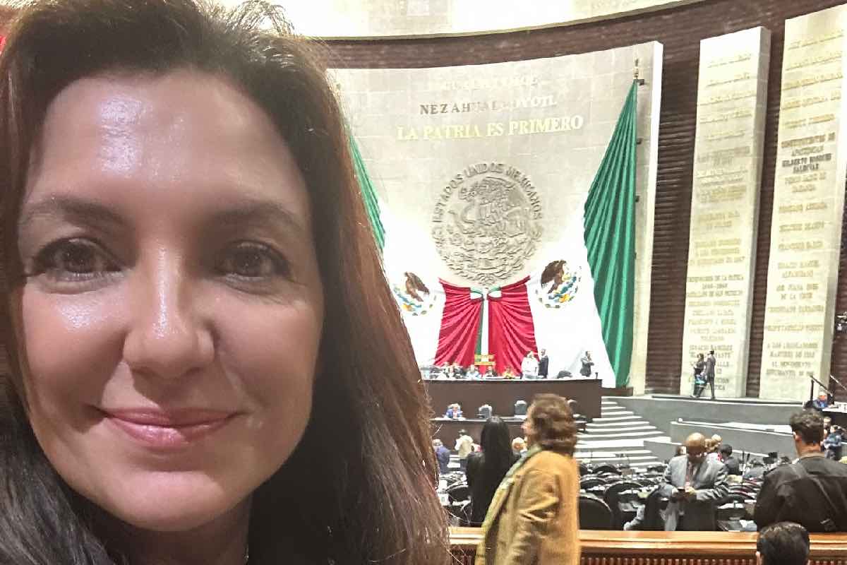 que-diran-infancias-libro-somos-todas-animal-politico-9