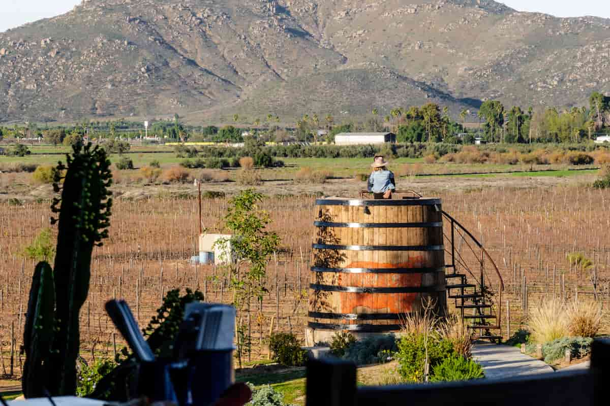 qué hacer en Valle de Guadalupe