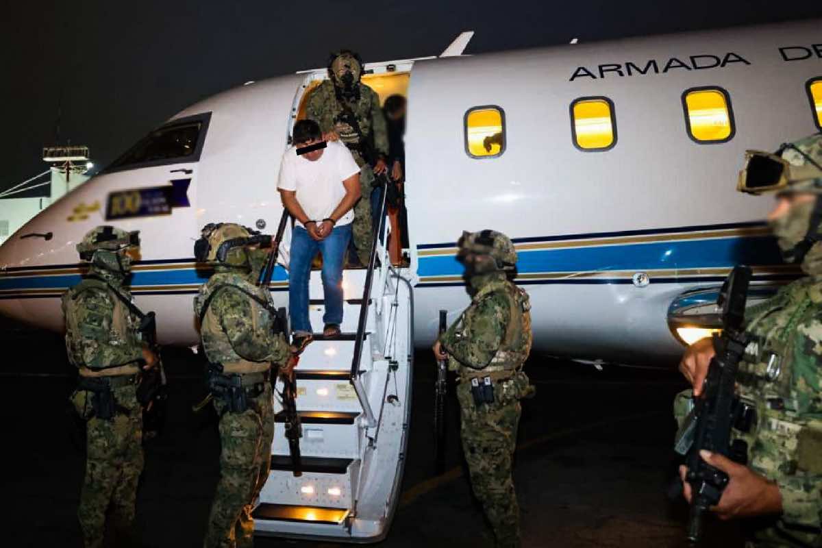 quien-es-el-jardinero-cjng-animal-politico-11
