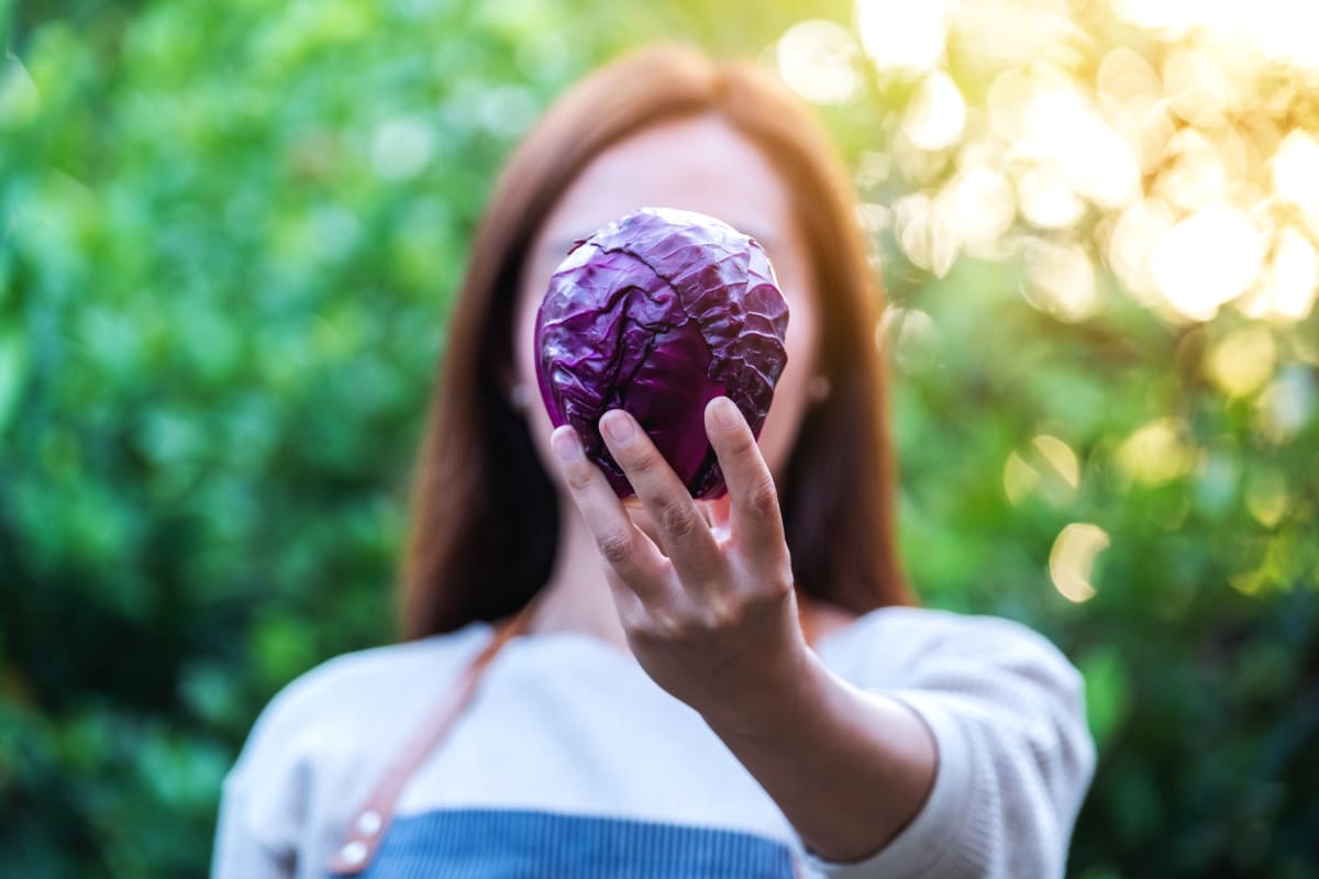 Mujer sosteniendo col morada.