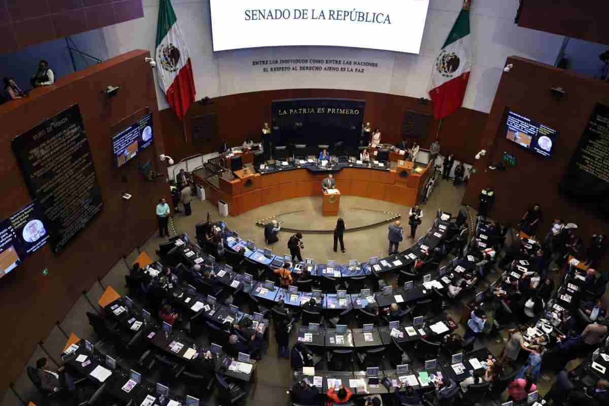 senado avala ley feminicidio nacional