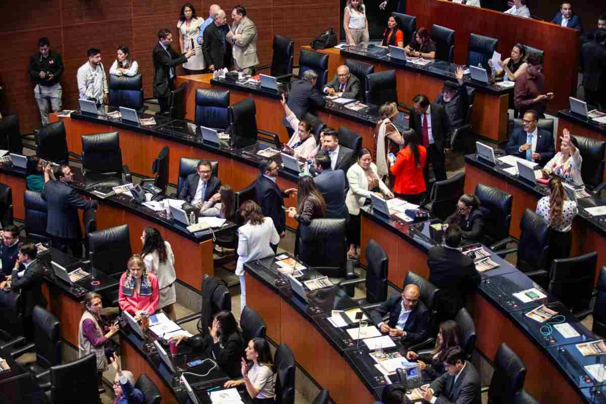 senado ley feminicidio