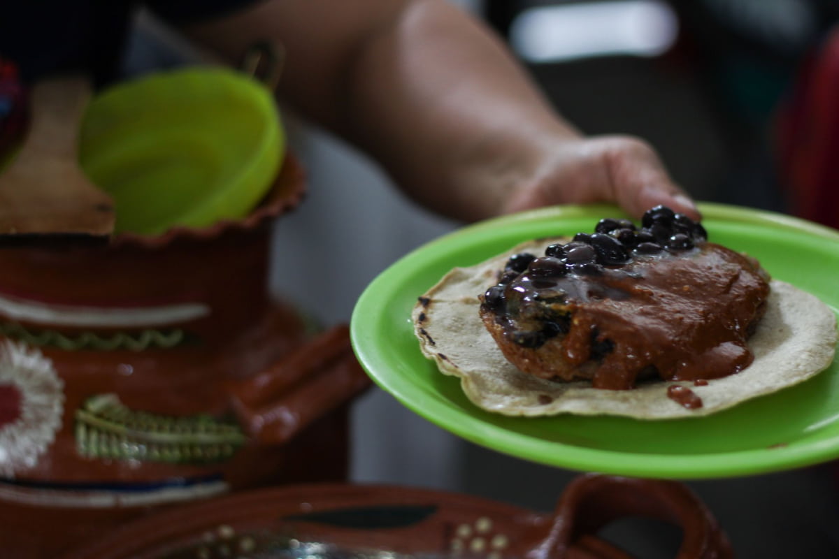 Tortitas de ahuautle: la receta original del caviar Mexicano