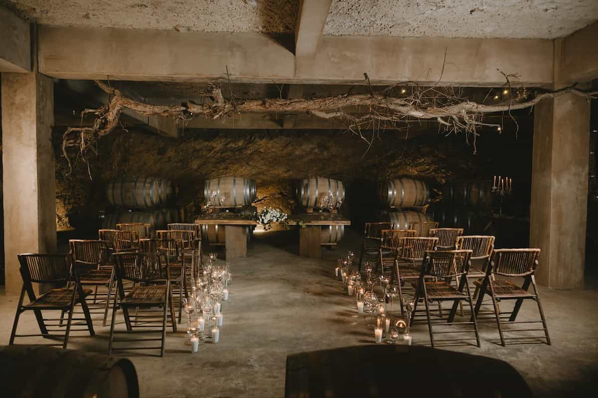 viñedo Valle de Guadalupe