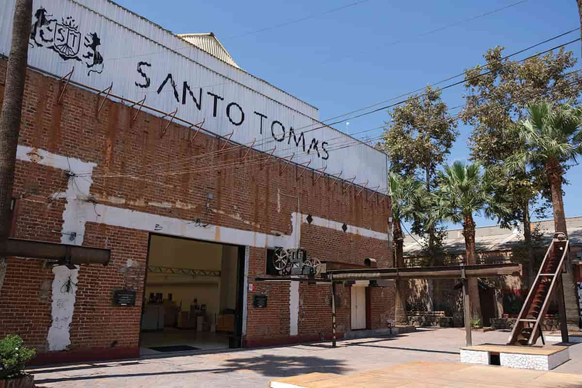 viñedo Santo Tomás