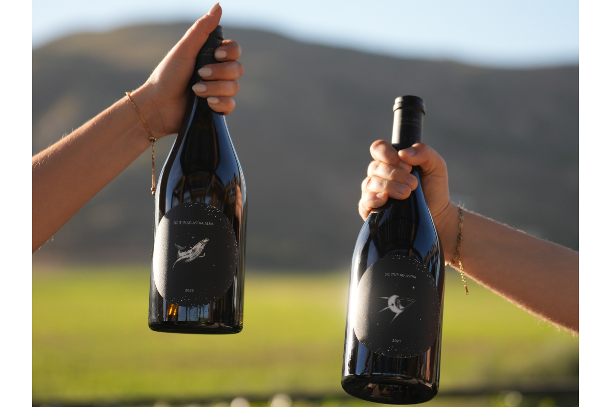 vino orgánico mexicano 