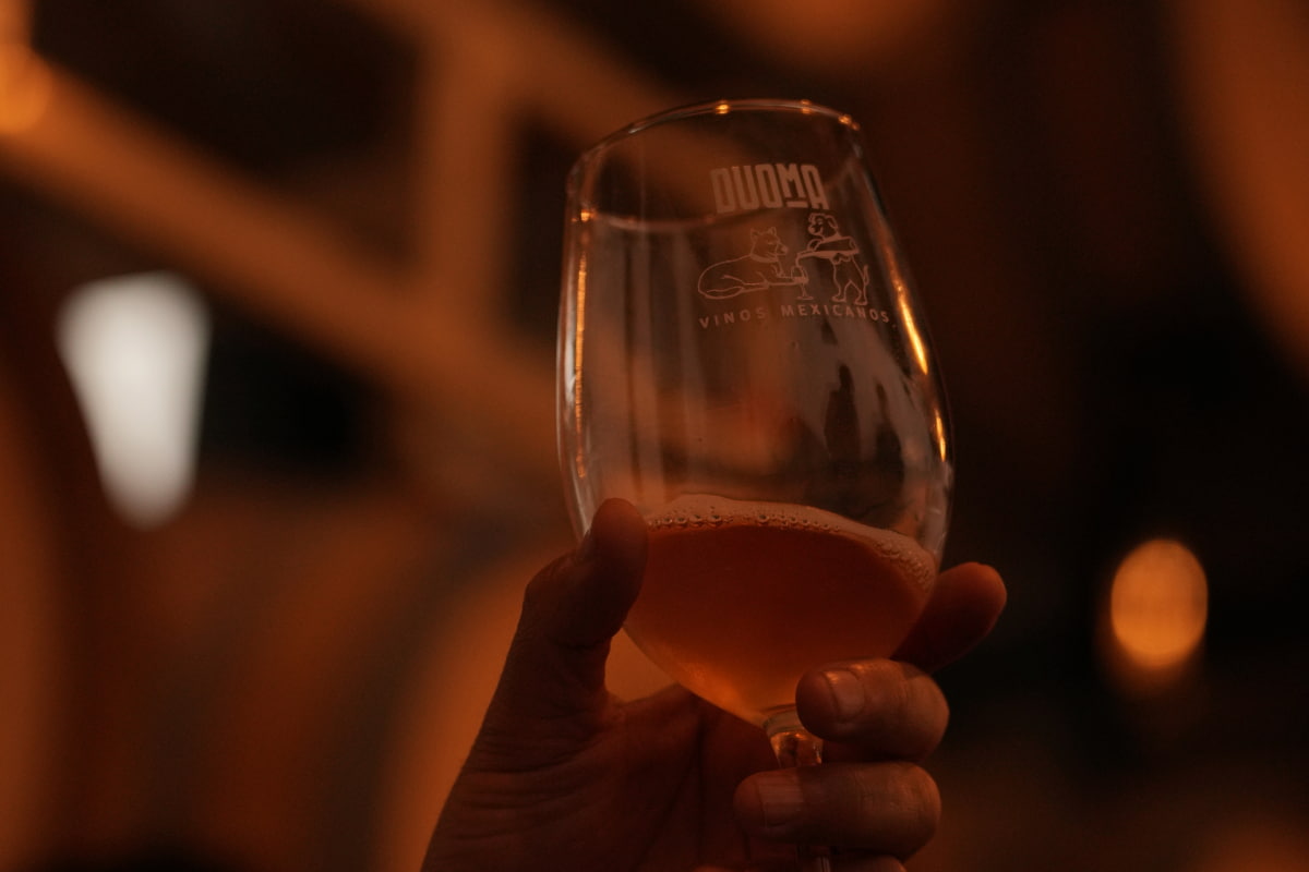 Del wine lover al turista: así se vive la experiencia de viñedos en Valle de Guadalupe