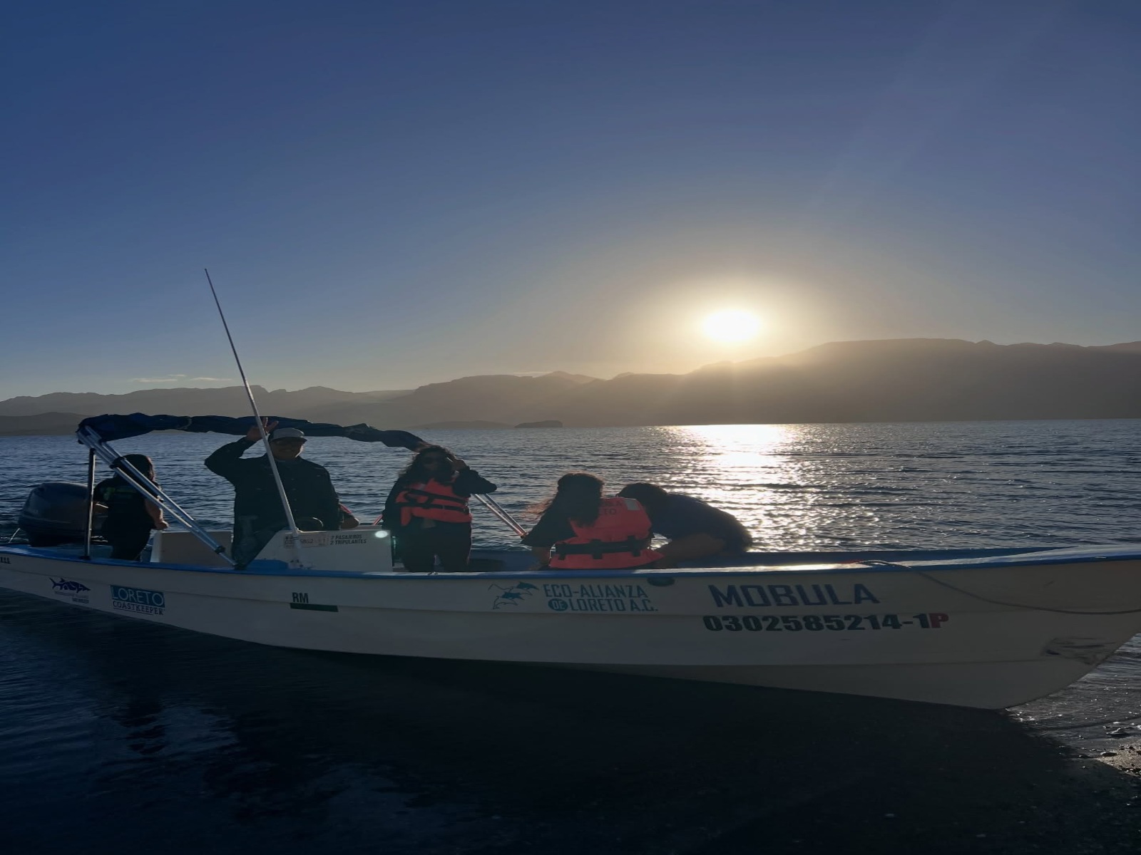 Asociaciones rechazan cruceros en Puerto de Loreto, Baja California Sur; “es amenaza a ballena azul"