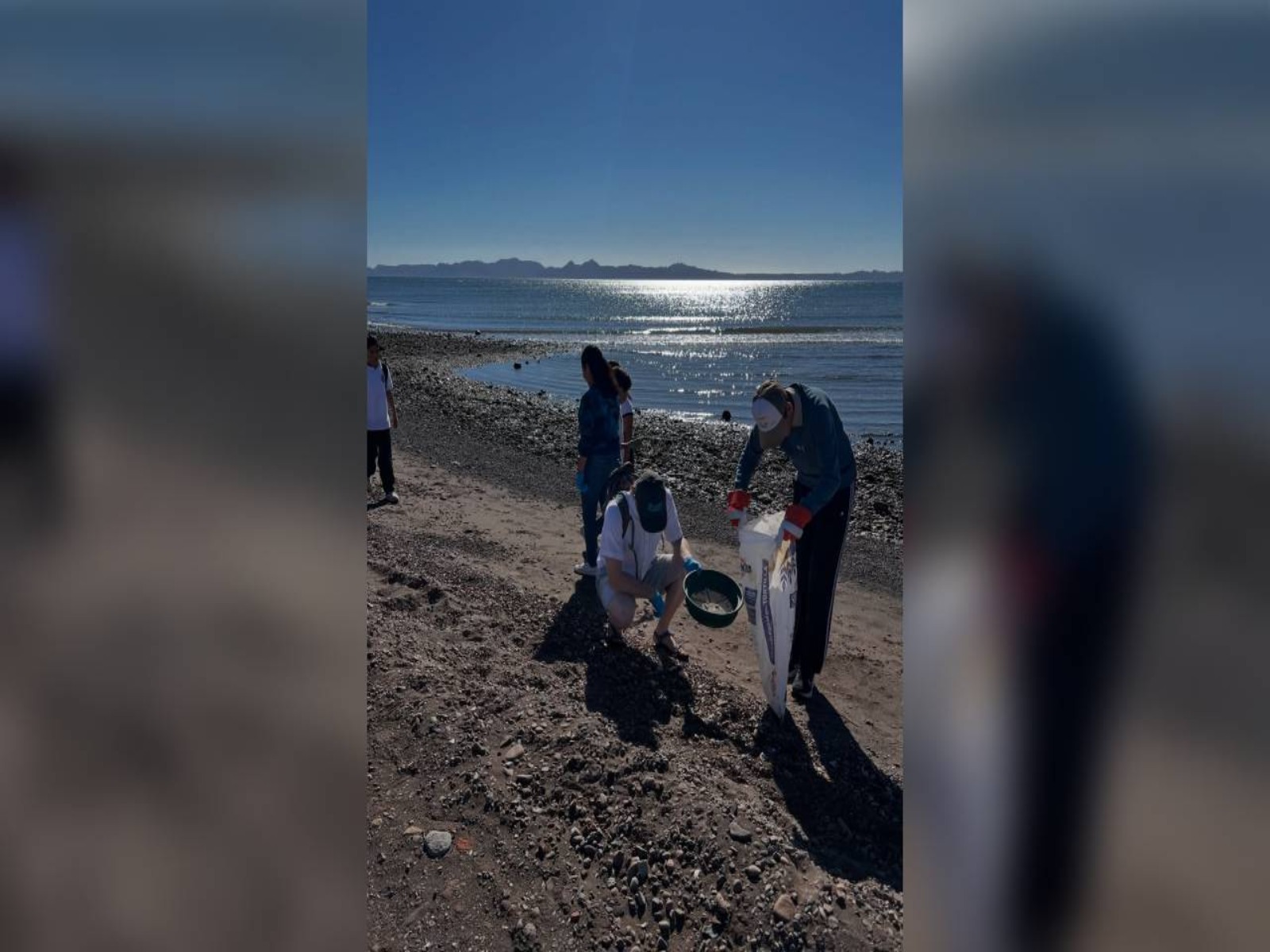 Asociaciones rechazan cruceros en Puerto de Loreto, Baja California Sur; “es amenaza a ballena azul"