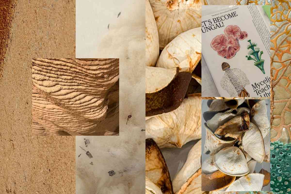 Biodiseño en el Franz Mayer