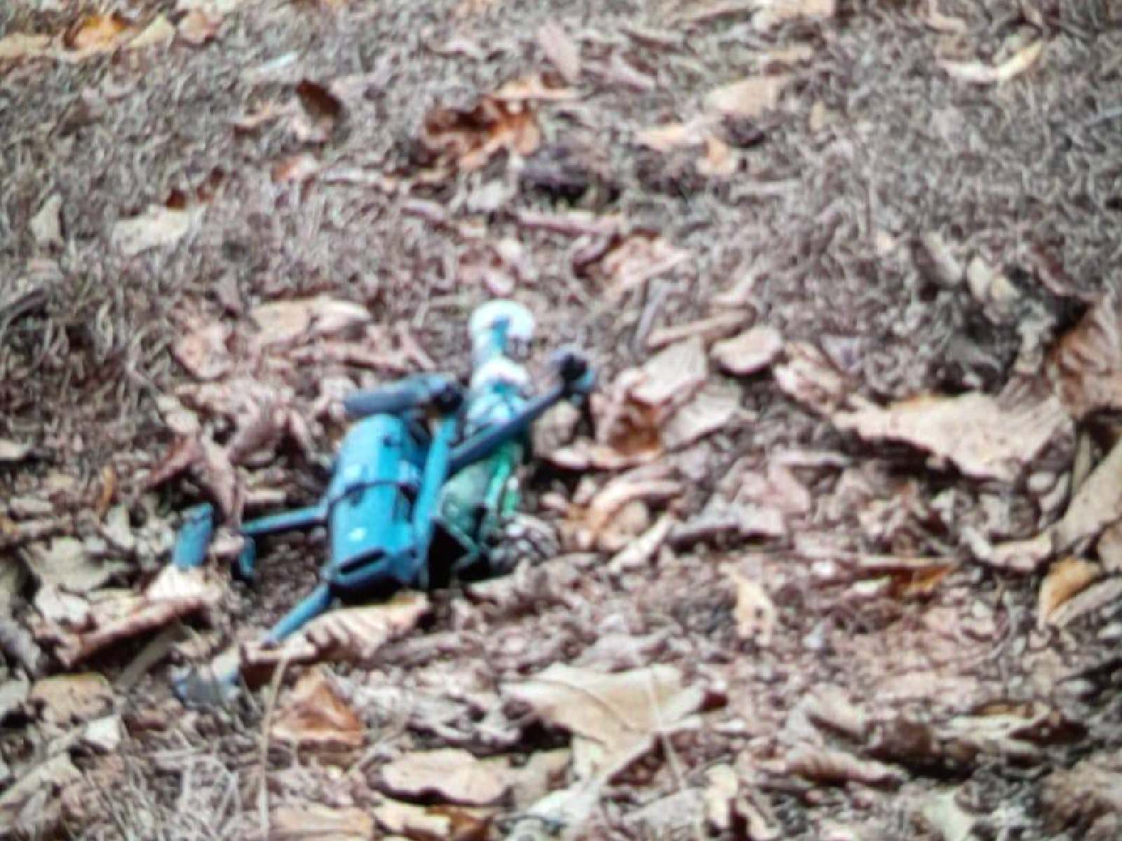 Comunidades indígenas de Guerrero reportan ataques con explosivos y desplazamiento en la Montaña Baja
