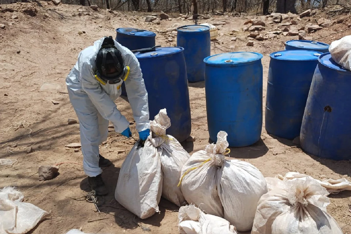 Decomisan 4.2 toneladas de drogas en tres laboratorios en Sinaloa; afectación al crimen es de 923 mdp