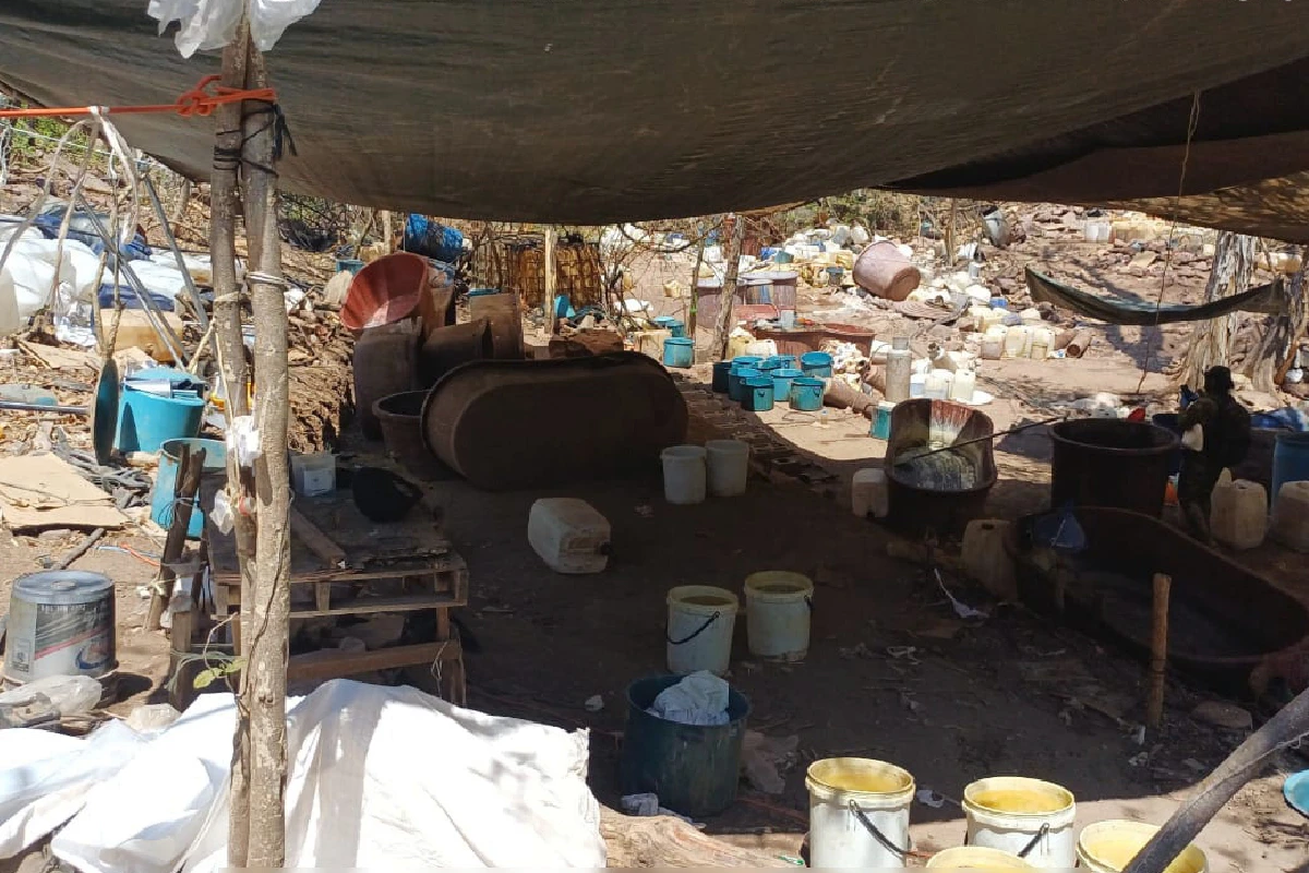 Decomisan 4.2 toneladas de drogas en tres laboratorios en Sinaloa; afectación al crimen es de 923 mdp