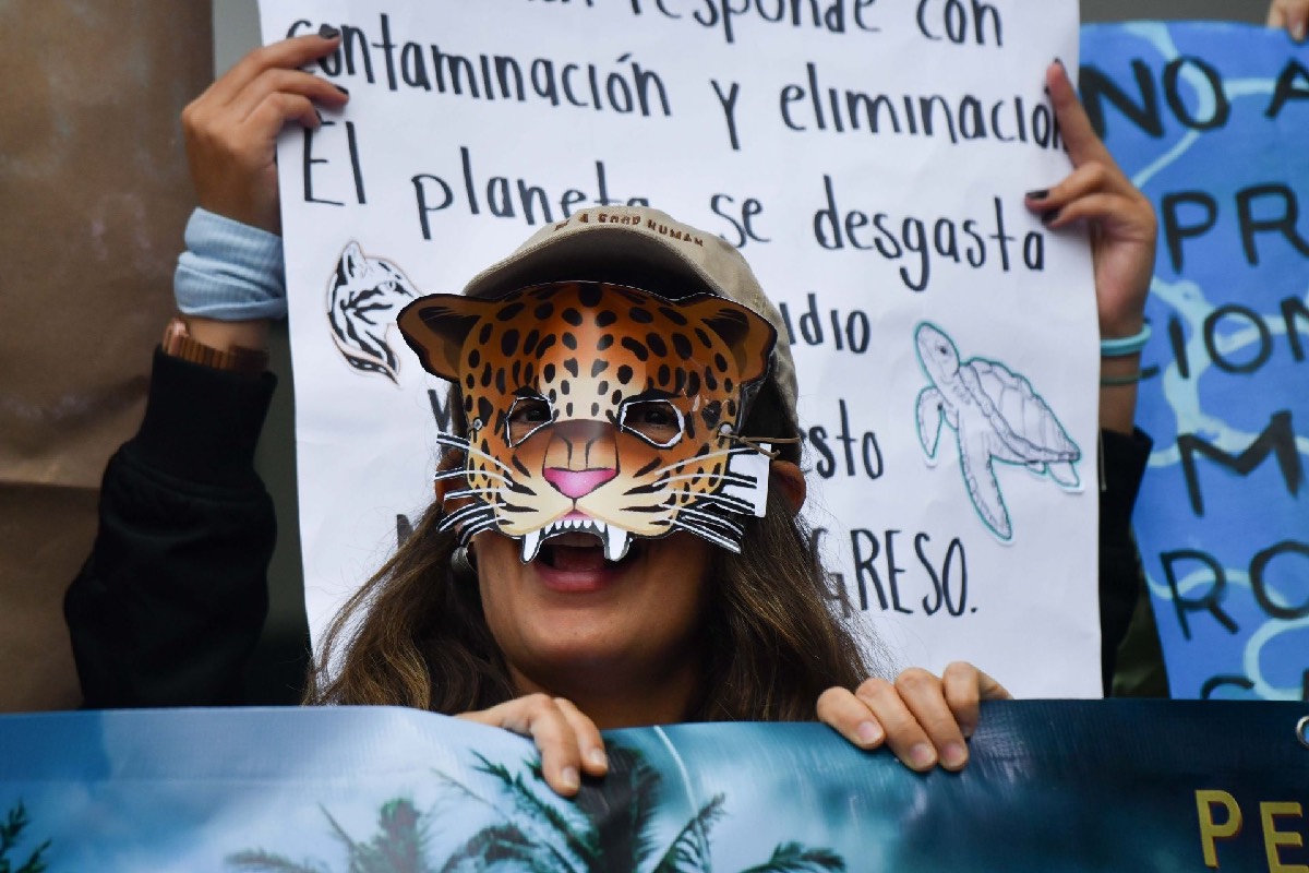 Las y los jóvenes acudieron al llamado del colectivo Salvemos Mahahual