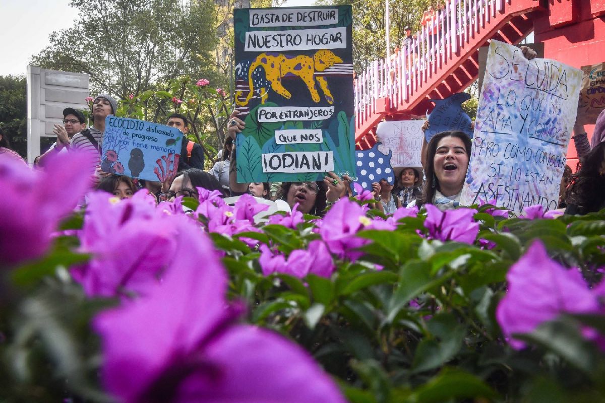 activistas denuncian ecocidio en varias partes de México