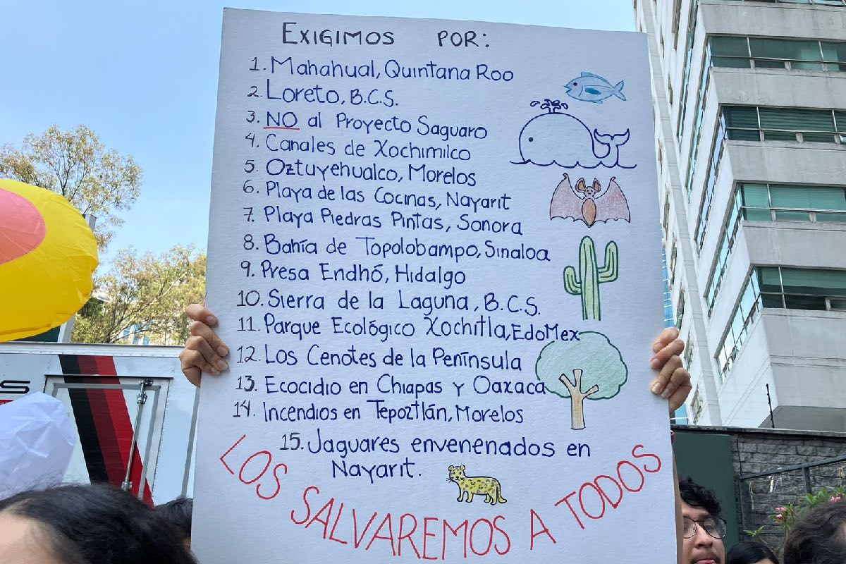 Activistas afirman que hay 15 amenazas medioambientales en México