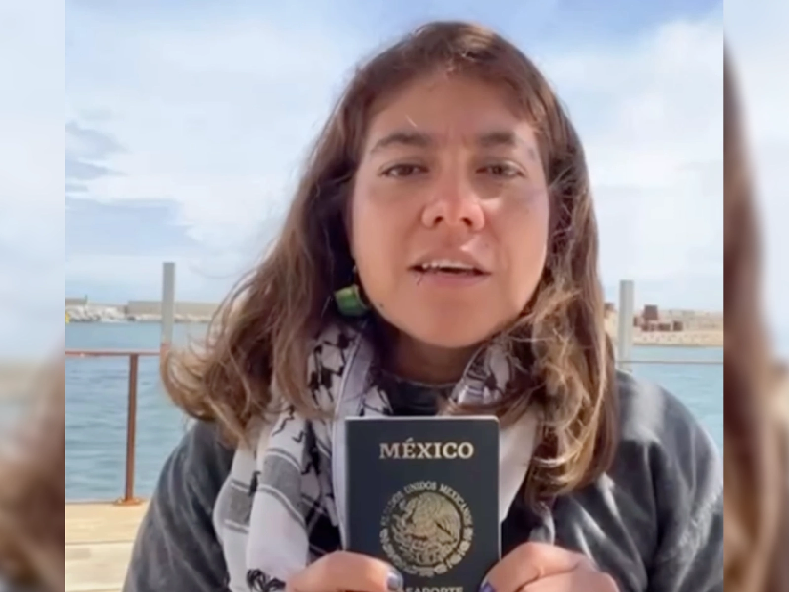 Embarcaciones de la flotilla humanitaria a Gaza vuelven a ser interceptadas; la mexicana Paulina del Castillo está entre las personas retenidas
