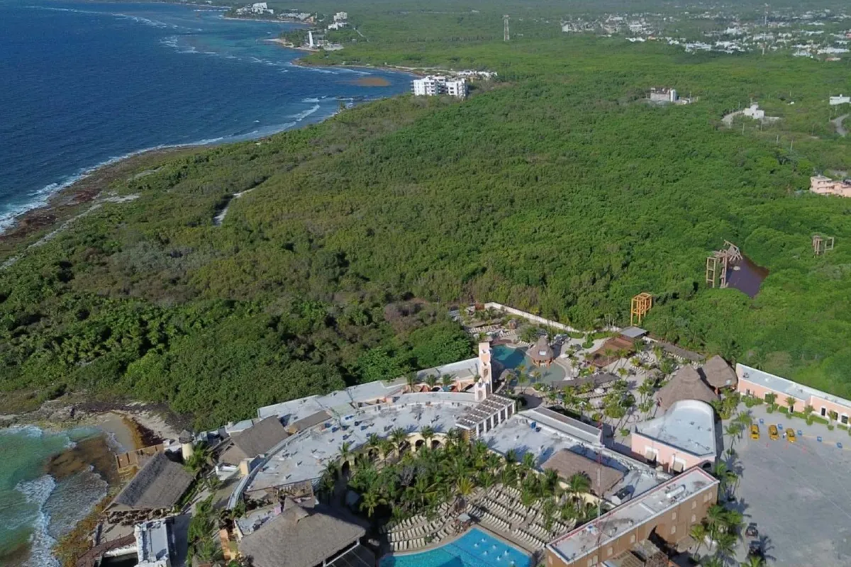 Medio Ambiente anuncia que no aprobará proyecto _Perfect Day_ de Royal Caribbean, en Mahahual, Quintana Roo