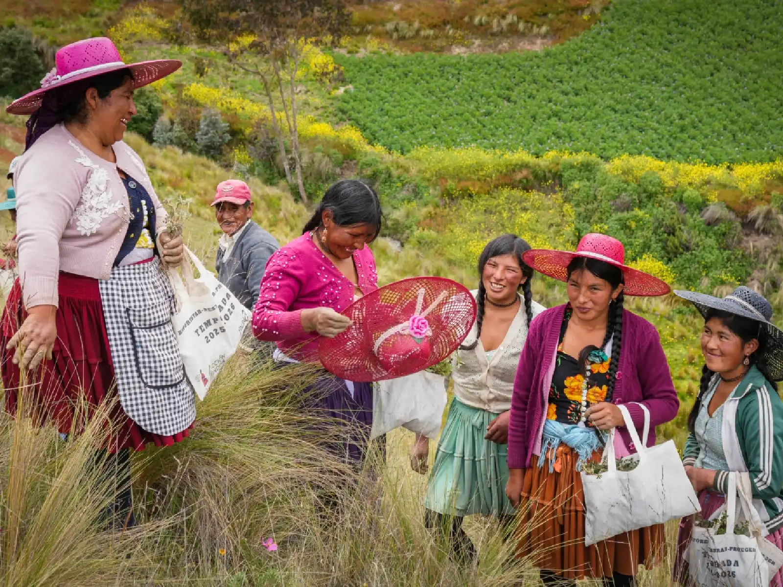 Un grupo de mujeres quechua mientras reforestan, todas visten trajes típicos y bolsas, se les ve sonrientes