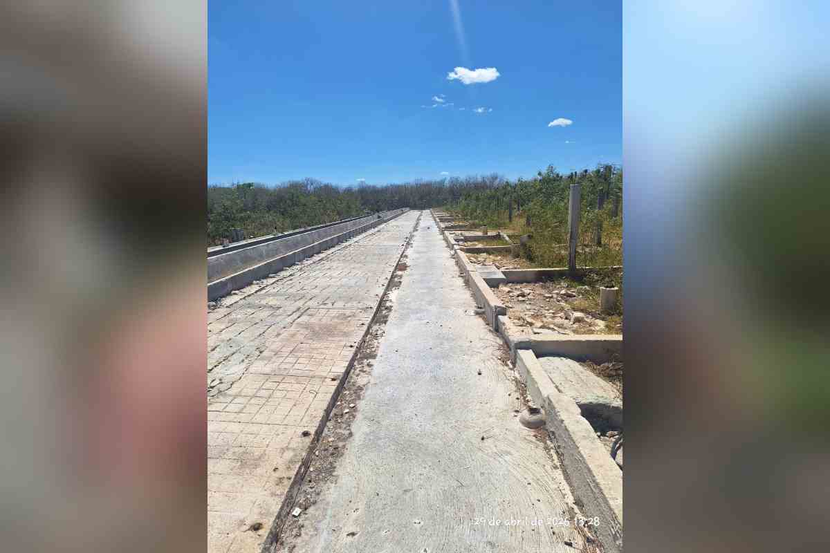 Retiran 41 mil cerdos de granja en Mérida que fue clausurada por daños ambientales