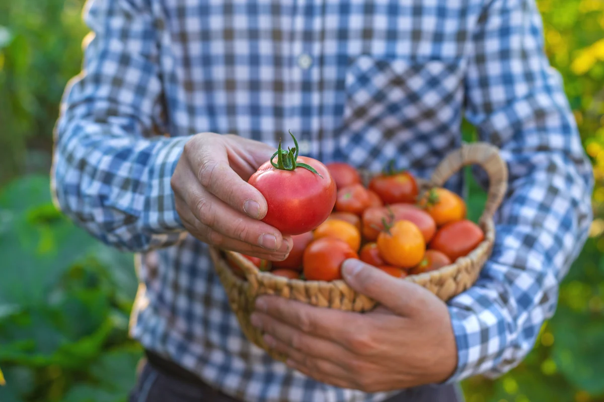 quitan aranceles a productos mexicanos en Europa