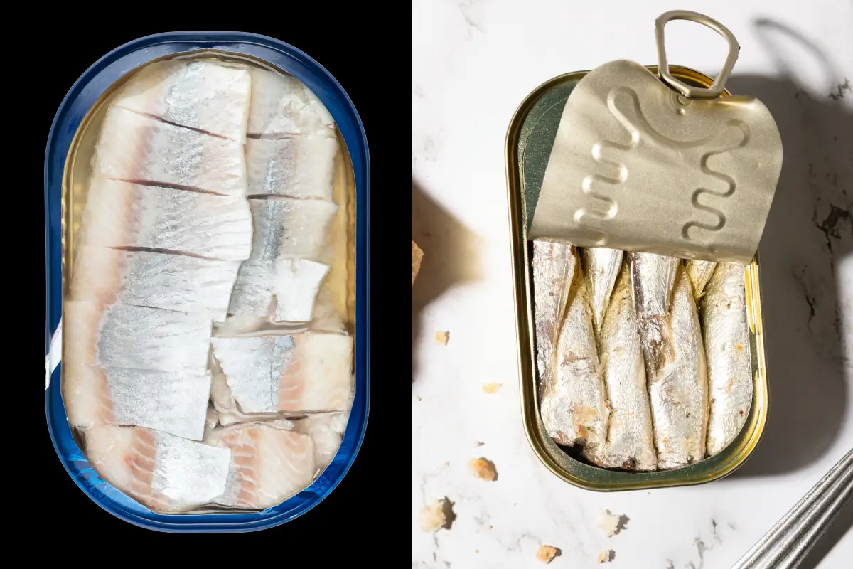 Latas de aluminio abiertas con sardinas y arenques al interior