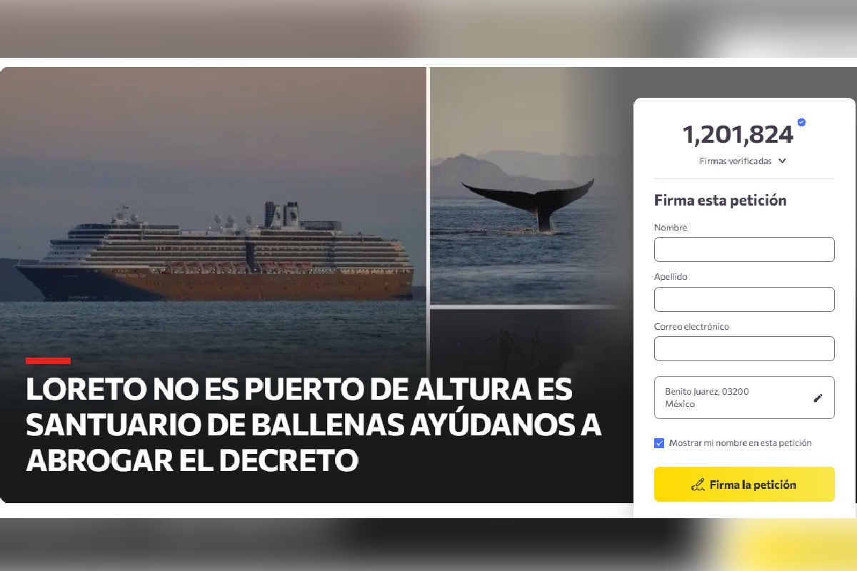 Nakawe Project lanzó la campaña “Loreto no es un puerto de altura es un santuario de ballenas. Ayúdanos a abrogar el decreto”