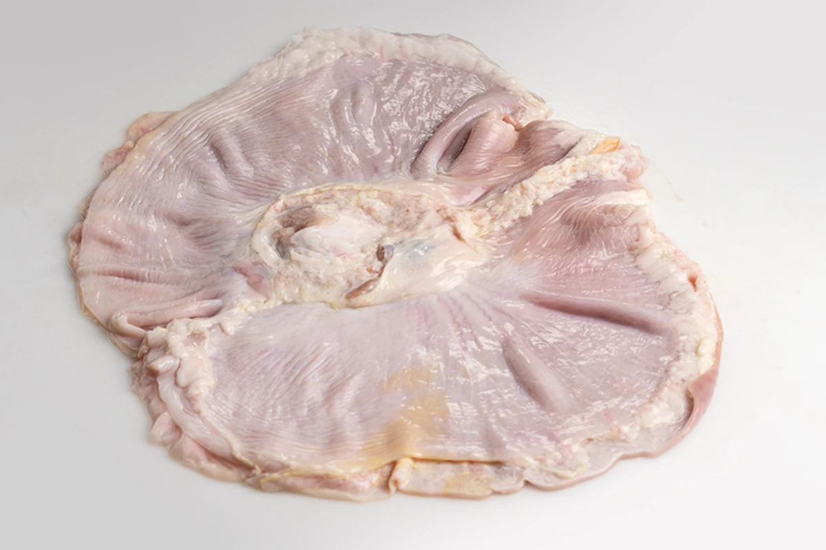 Sobre un fondo blanco se encuentra una membrana en forma de círculo que es el buche de cerdo