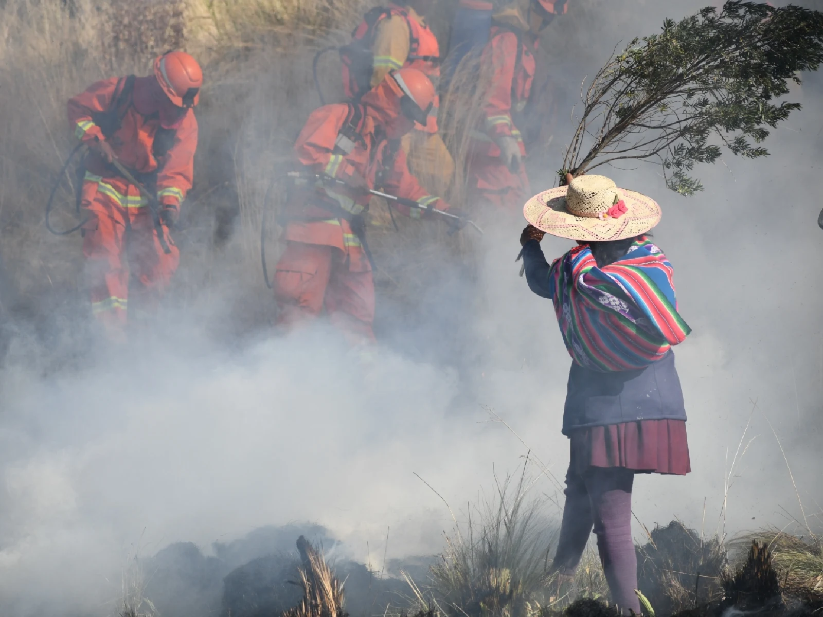 capacitación sobre atención de incendios forestales