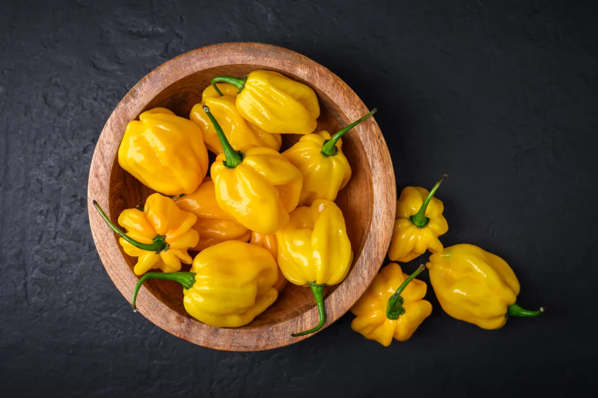 Sobre un tazón de madera hay varios chiles habaneros amarillos