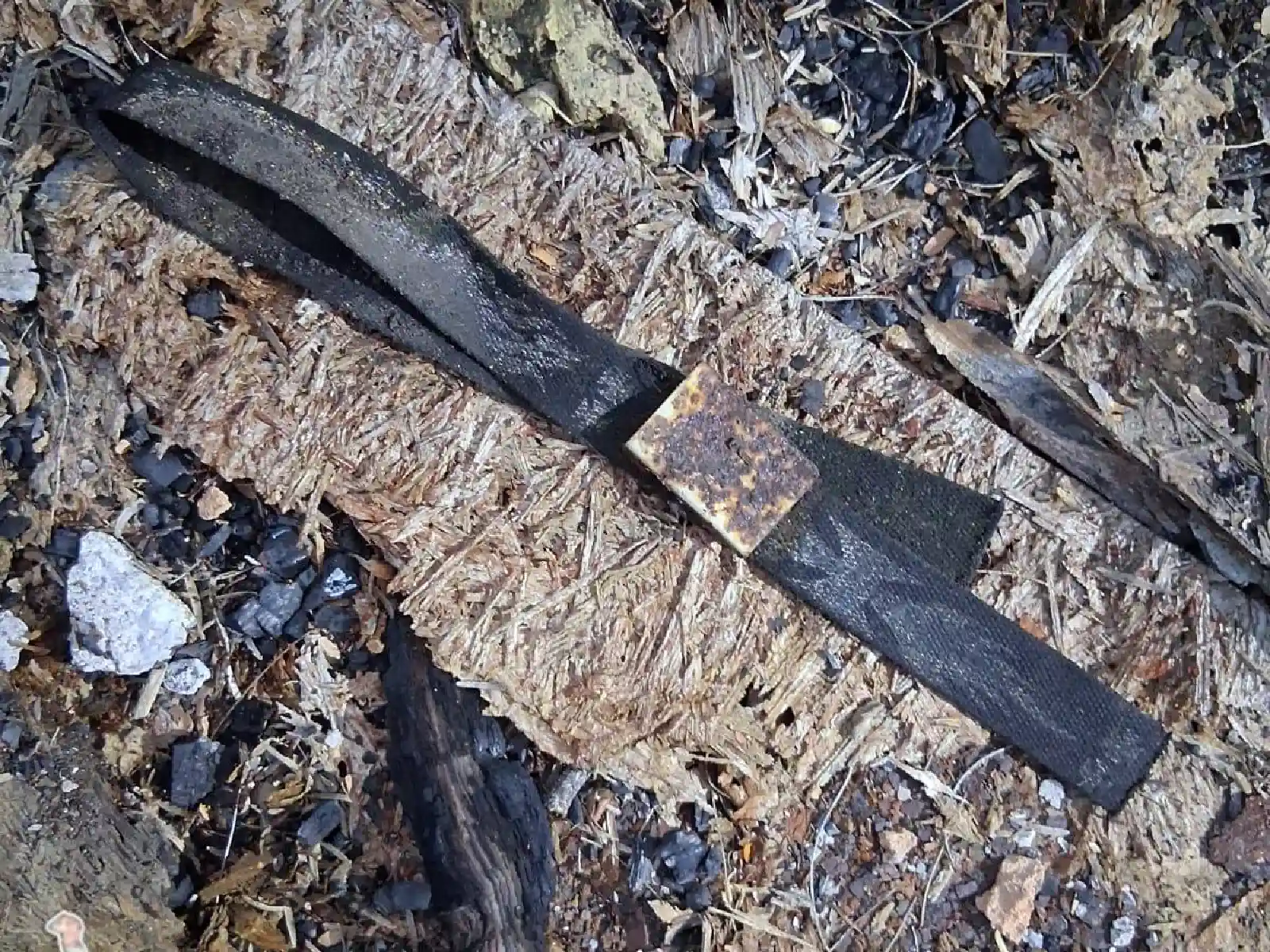 Colectivo de búsqueda reporta dos puntos de incineración en Reynosa, Tamaulipas; hallan restos óseos y prendas
