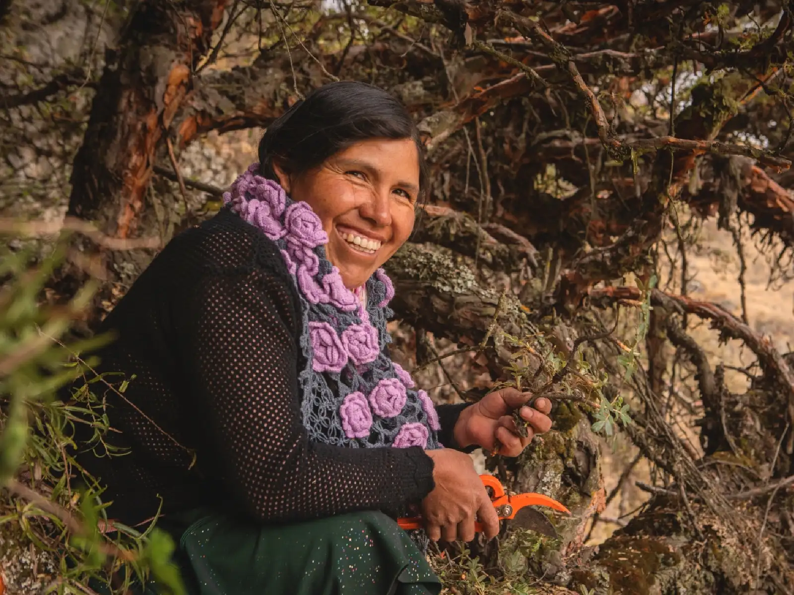 Mujer sonriendo en un a mano sostiene una tijeras de jardin y en la otra una rama 