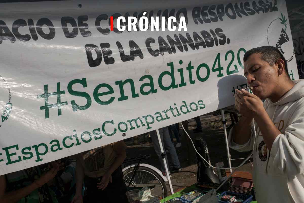 El laberinto de la marihuana. La frontera del estigma