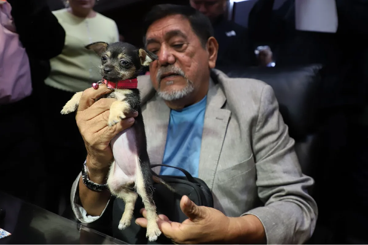 Félix Salgado dice que la ley le permite competir para suceder a su hija en Guerrero, pero asegura que no romperá con Morena
