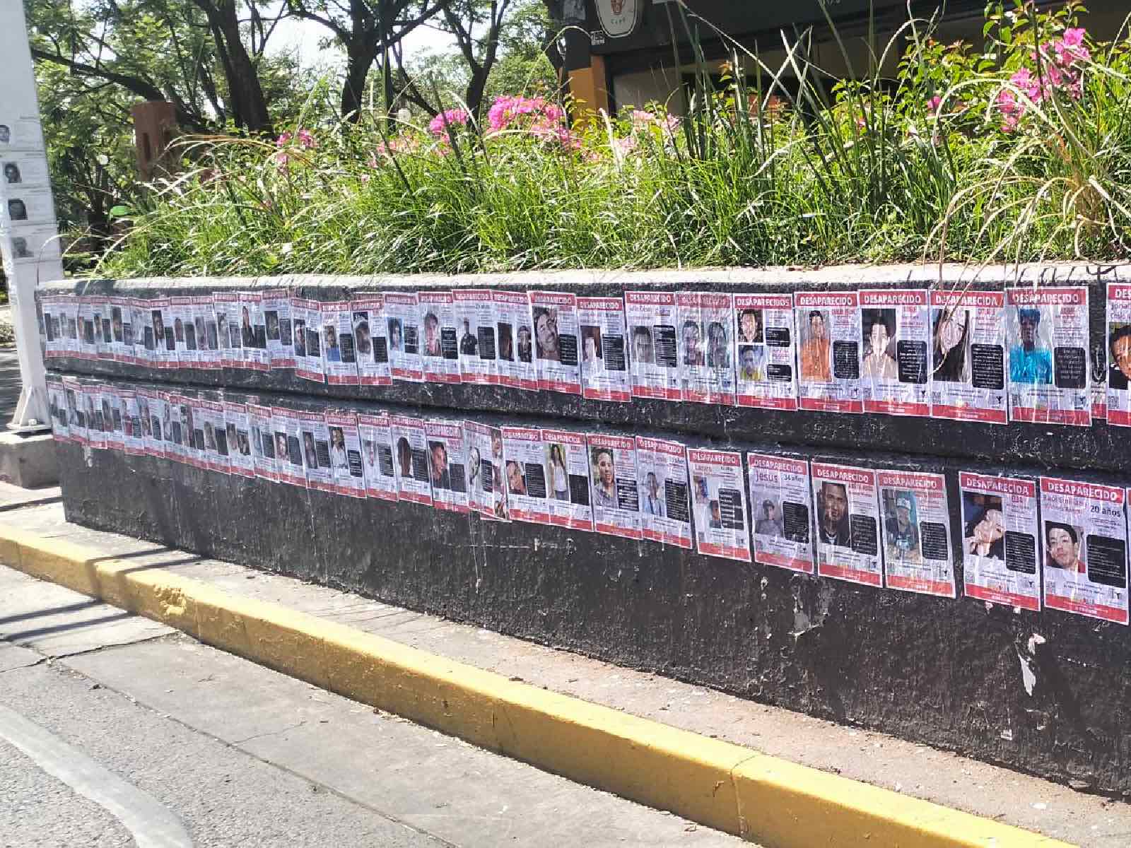 IA colectivos de búsqueda más empatía