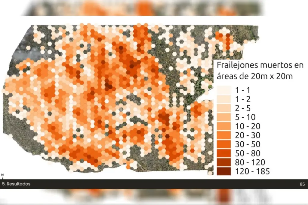 Gráfico cortesía de Paula Uzcátegui/Mongabay