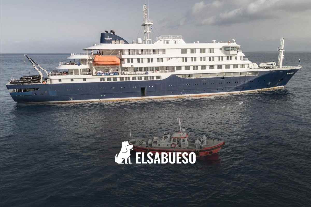 Hantavirus en el crucero MV Hondius: ¿cómo empezó la propagación y qué riesgos implica? 