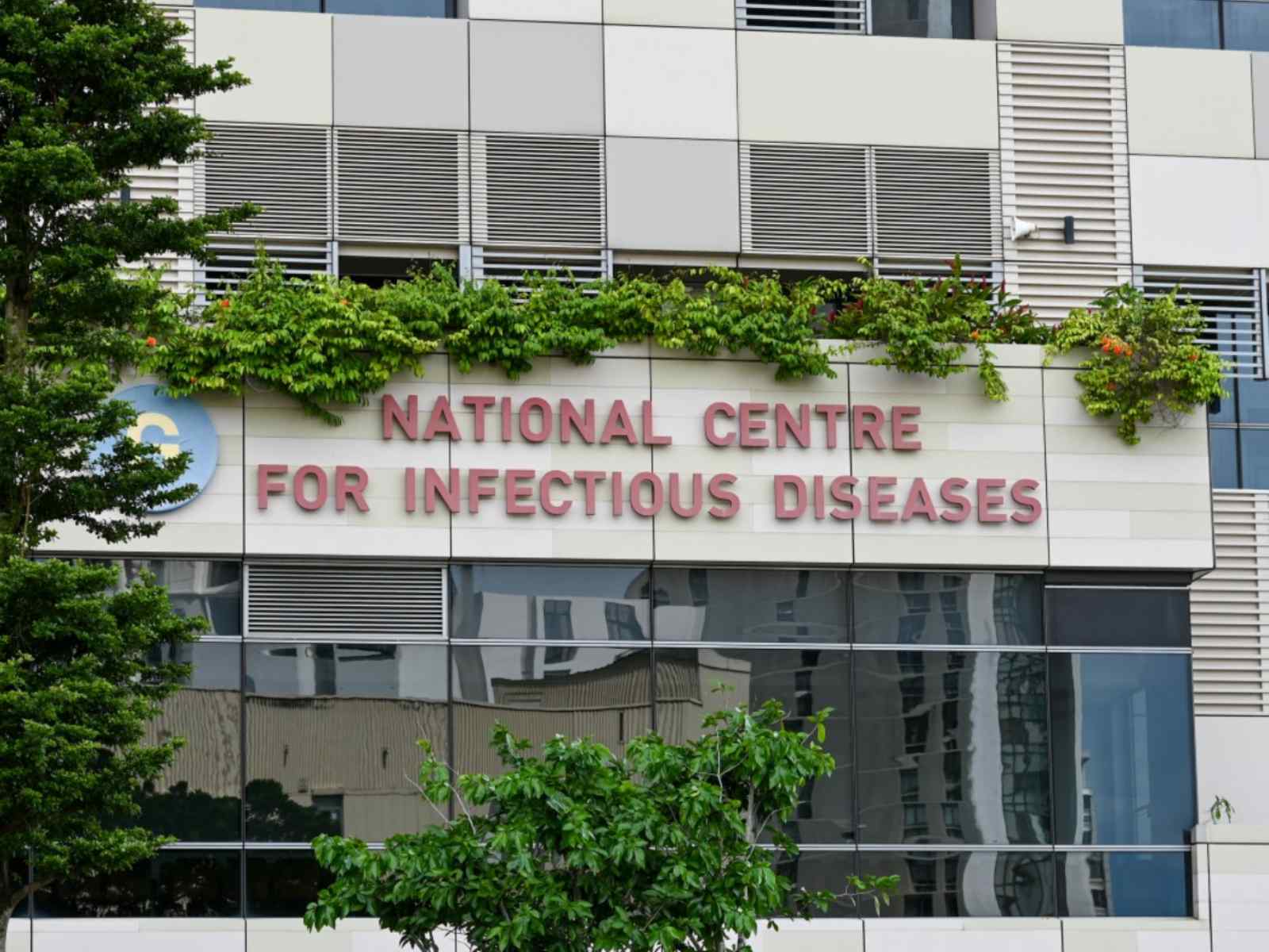 hantavirus riesgo bajo oms