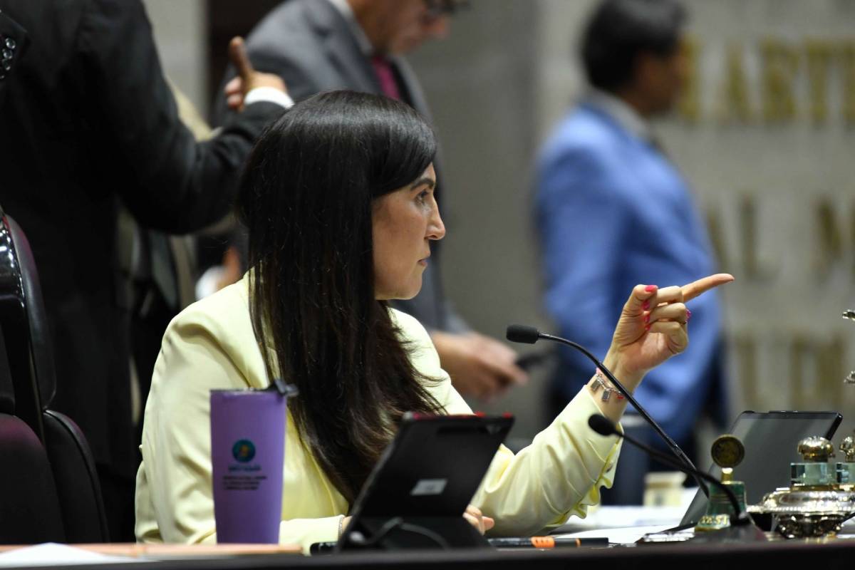 kenia-lopez-pide-congruencia-morena-prision-preventiva-rocha-moya-2