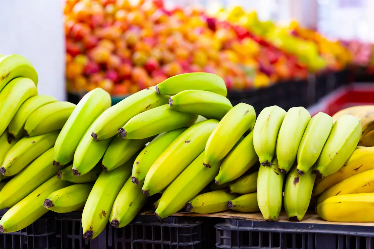 productos beneficiados por acuerdo comercial entre México y Europa