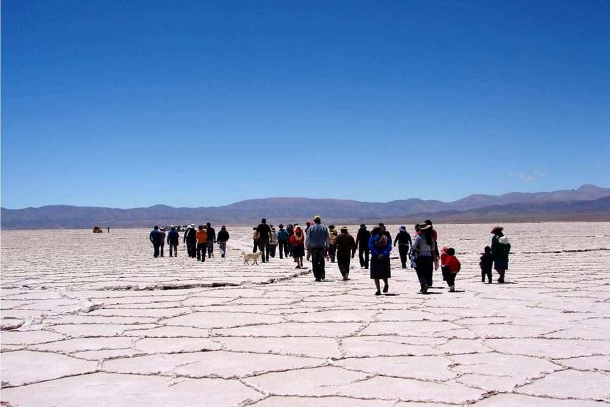 litio-empresas-chinas-latinoamerica-sin-transparencia-ni-estudios-ambientales-3