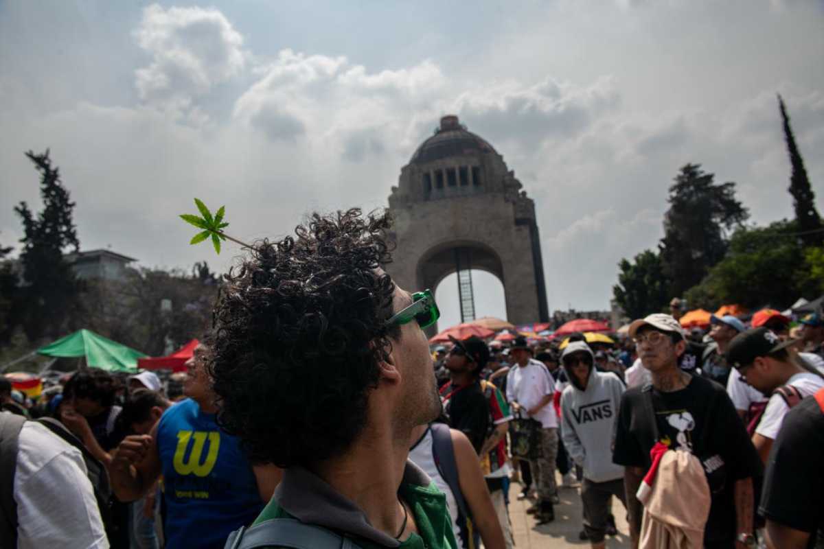 El laberinto de la marihuana. “¿Y qué le digo al poli si me la hace de pedo?”