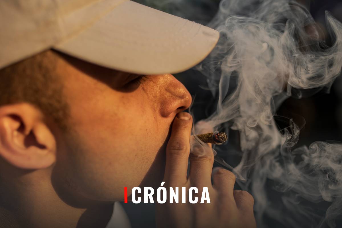 El laberinto de la marihuana. “¿Y qué le digo al poli si me la hace de pedo?”