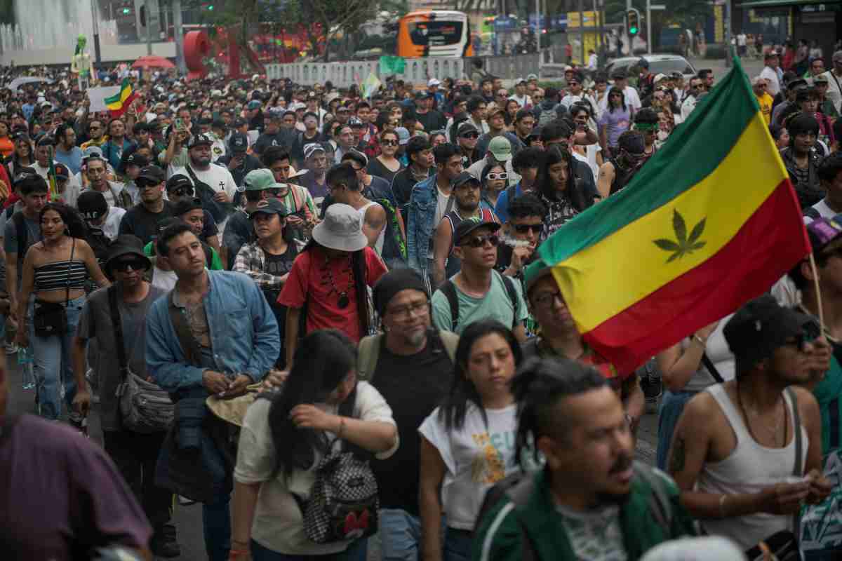 Marihuana consumidores