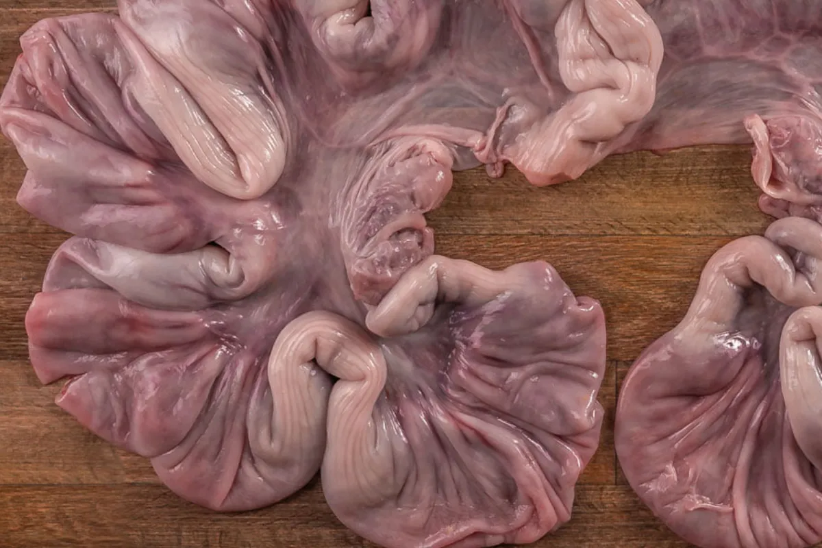 En un fondo de tono madero se encuentra extendida una parte del puerco conocido como nana