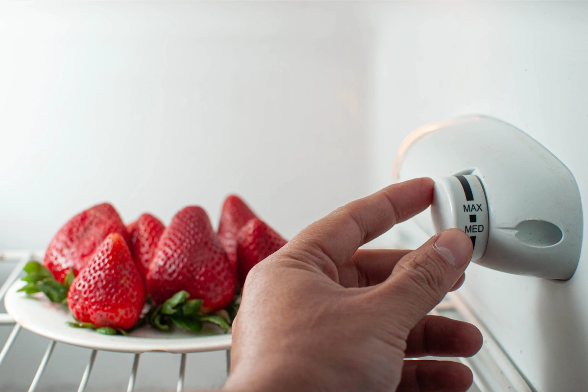 Mano de un hombre ajusta la temperatura del un refrigerador que contiene fresas en un plato.