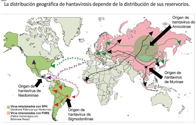 En el mapa se observan las zonas de distribución que causan los dos síndromes: SPH y FHSR. Imagen: Laboratorio de Genómica Viral y Humana, Universidad Autónoma de San Luis Potosí.